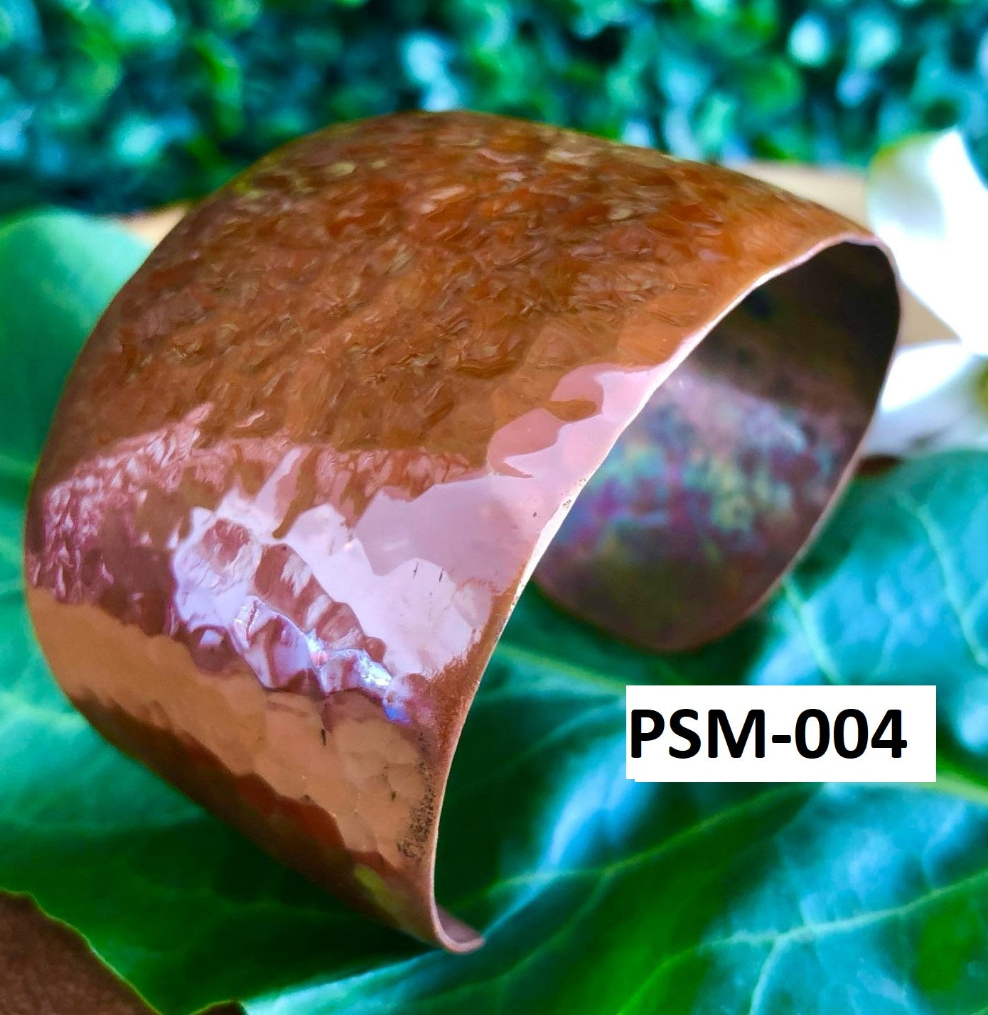 PSM-004