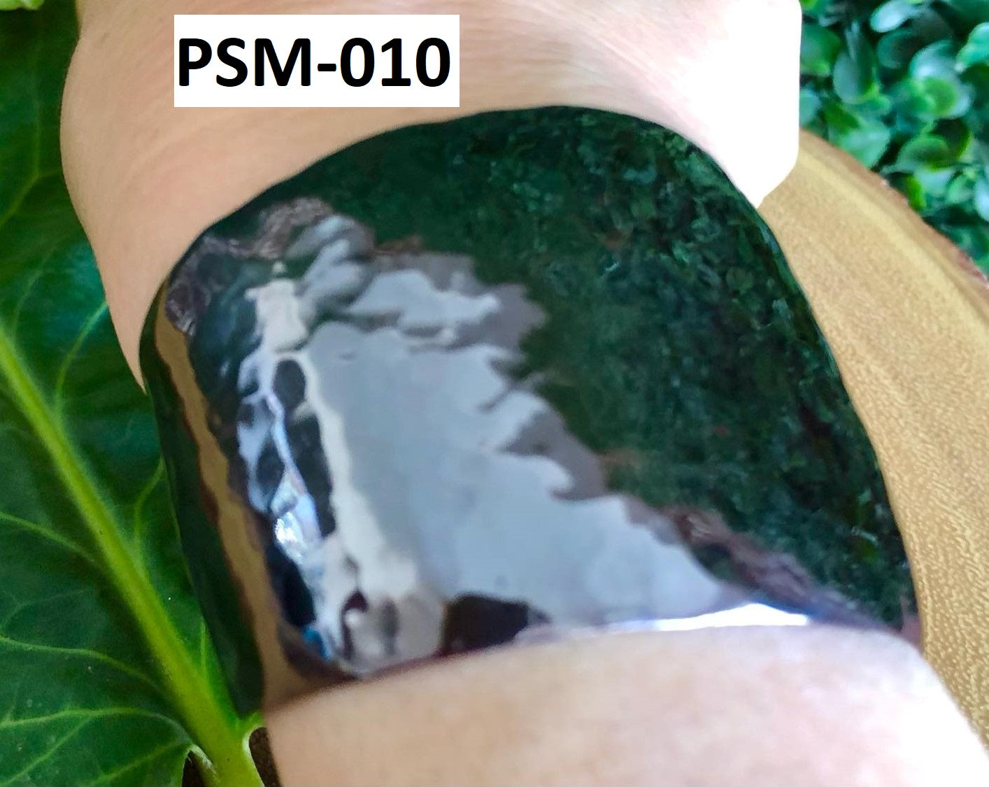 PSM-010