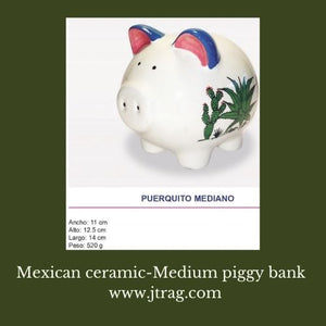CSC-61-Medium piggy bank