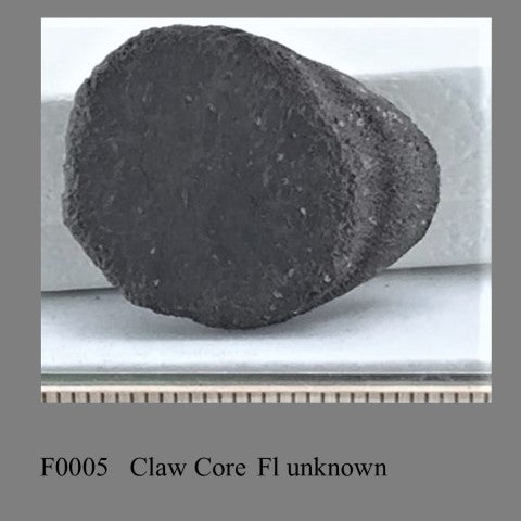 F0005 Claw Core unknown Fl 