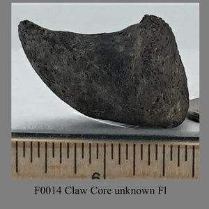 F0014 Claw Core unknown Fl 