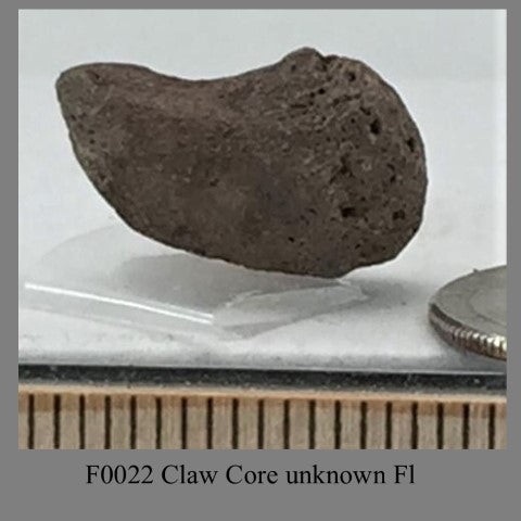 F0022 Claw Core unknown Fl