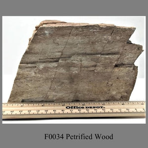 F0034 Petrified Wood