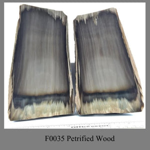 F0035 Petrified Wood