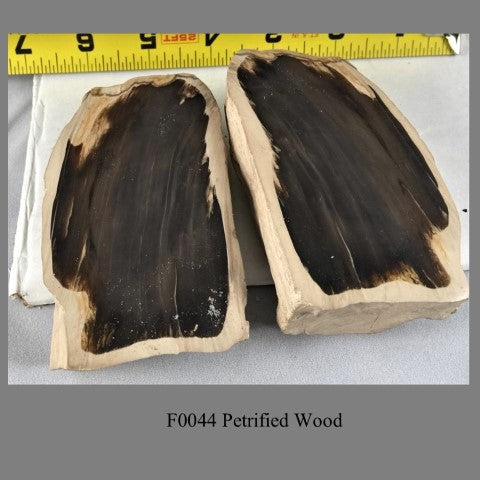 F0044 Petrified Wood