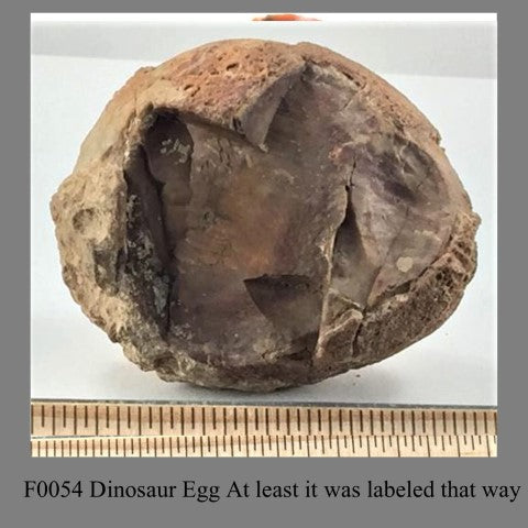 F0054 Dinosaur Egg At least it was labeled that way