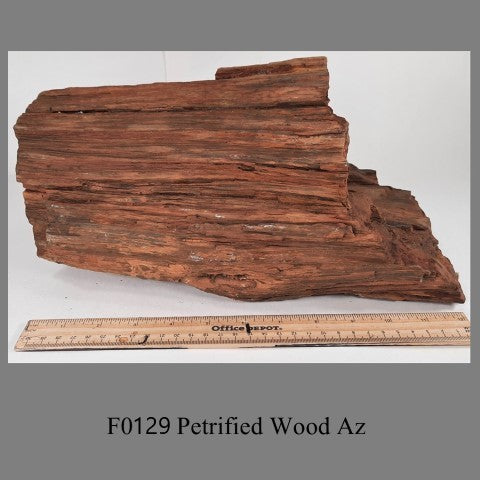 F0129 Petrified Wood Az