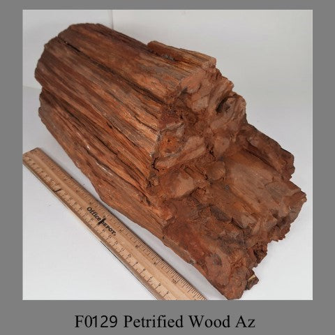 F0129 Petrified Wood Az