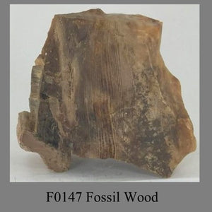 F0147 Fossil Wood