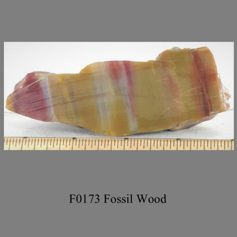 F0173 Fossil Wood