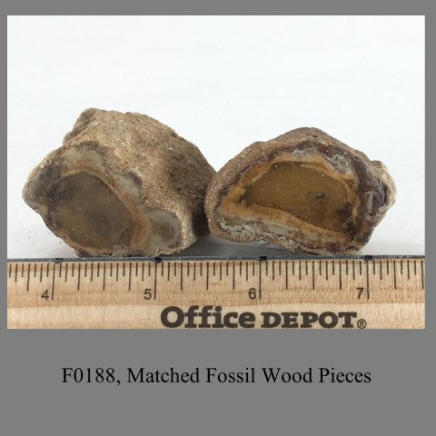 F0188, Matched Fossil Wood Pieces