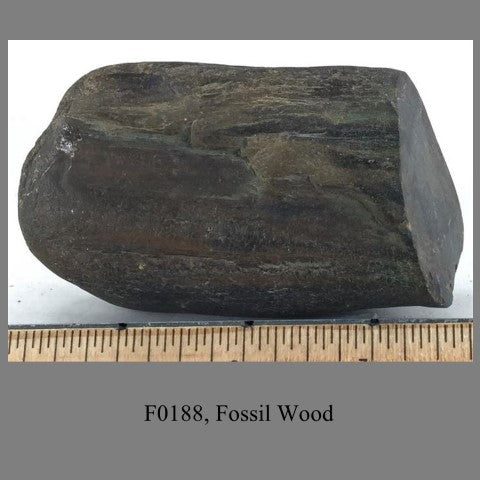 F0189, Fossil Wood