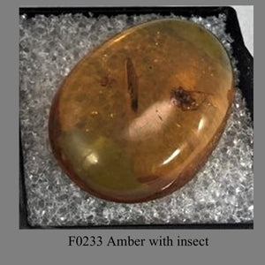 F0233 Amber with insect