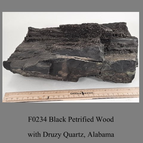 F0234 Black Petrified Wood with Druzy Quartz, Alabama