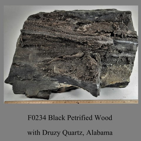 F0234 Black Petrified Wood with Druzy Quartz, Alabama