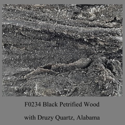 F0234 Black Petrified Wood with Druzy Quartz, Alabama