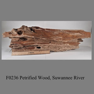 F0236 Petrified Wood, Suwannee River 