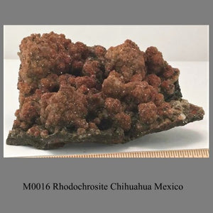 M0016 Rhodochrosite Chihuahua Mexico