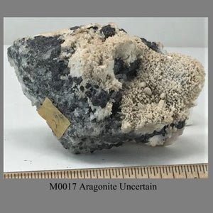 M0017 Aragonite Uncertain