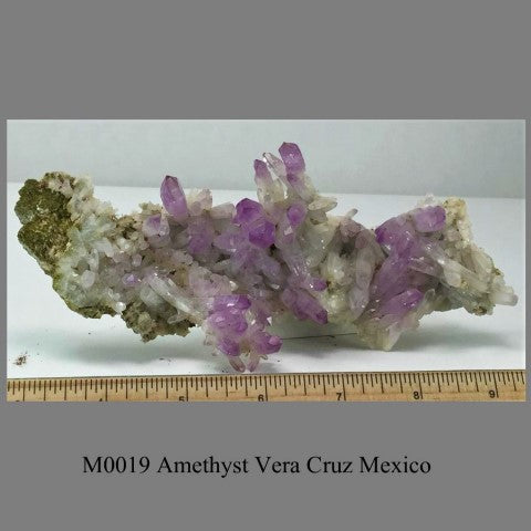 M0019 Amethyst Vera Cruz Mexico