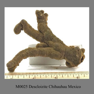 M0025 Descloizite Chihauhau Mexico