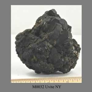 M0032 Uvite NY