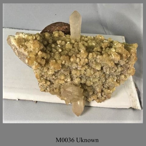 M0036 Uknown