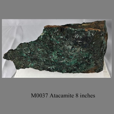 M0037 Atacamite 8 inches