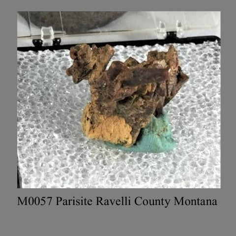 M0057 Parisite Ravelli County Montana