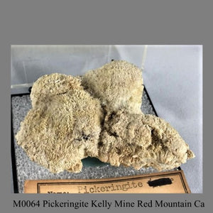 M0064 Pickeringite Kelly Mine Red Mountain Ca