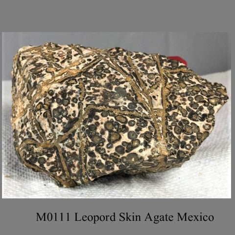 M0111 Leopord Skin Agate Mexico