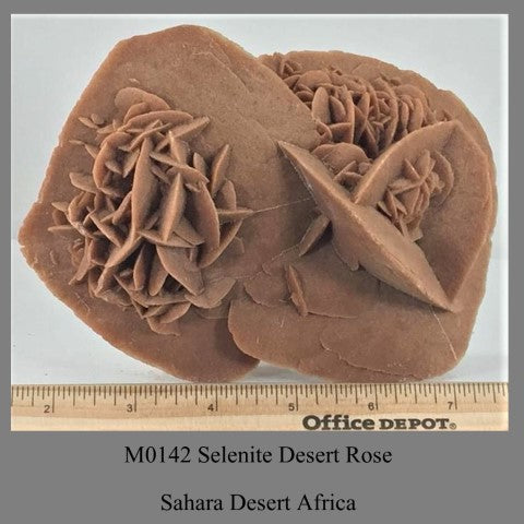 M0142 Selenite Desert Rose Sahara Desert Africa