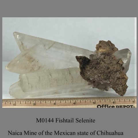 M0144 Fishtail Selenite Naica Mine of the Mexican state of Chihuahua