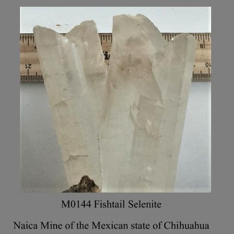 M0144 Fishtail Selenite Naica Mine of the Mexican state of Chihuahua