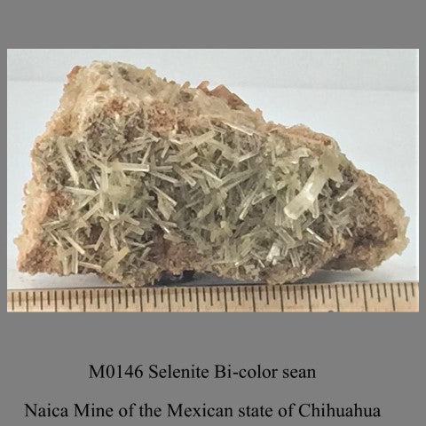 M0146 Selenite Bi-color seam Naica Mine of the Mexican state of Chihuahua