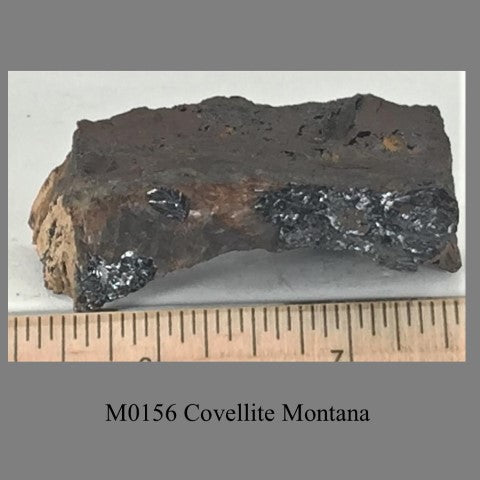 M0156 Covellite Montana