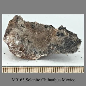 M0163 Selenite Chihuahua Mexico