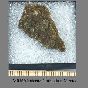 M0166 Siderite Chihuahua Mexico