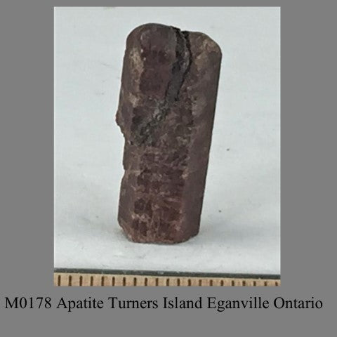 M0178 Apatite Turners Island Eganville Ontario