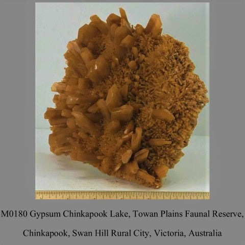 M0180 Gypsum Chinkapook Lake, Towan Plains Faunal Reserve, Chinkapook, Swan Hill Rural City, Victoria, Australia
