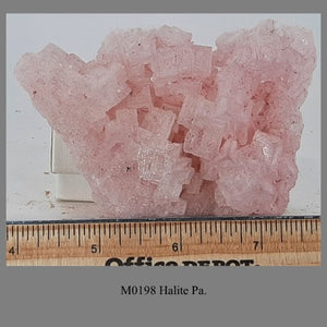 M0198 Halite Pa.