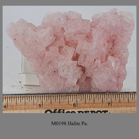 M0198 Halite Pa.