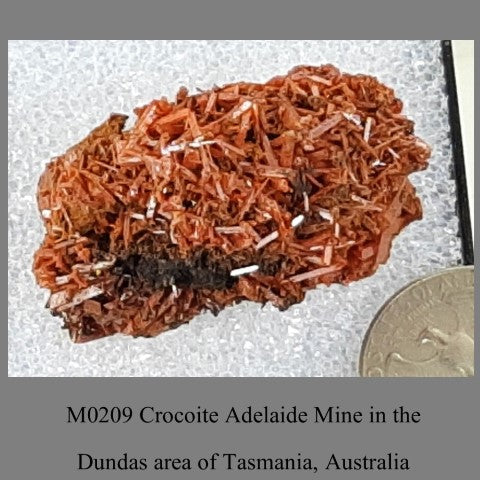 M0209 Crocoite Adelaide Mine in the Dundas area of Tasmania, Australia