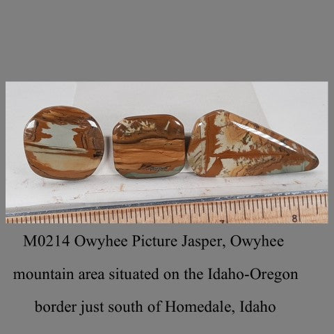 M0214 Owyhee Picture Jasper, Owyhee 