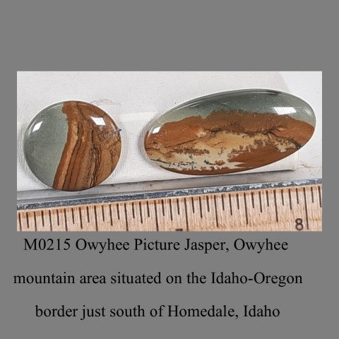 M0215 Owyhee Picture Jasper, Owyhee 