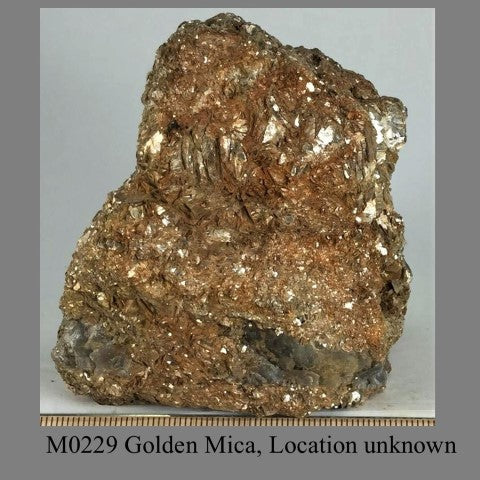 M0229 Golden Mica, Location unknown