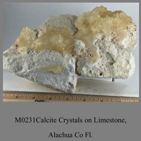 M0231 Calcite Crystals on Limestone, Alachua Co Fl.