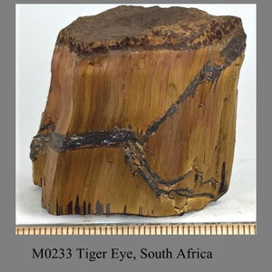 M0233 Tiger Eye, South Africa