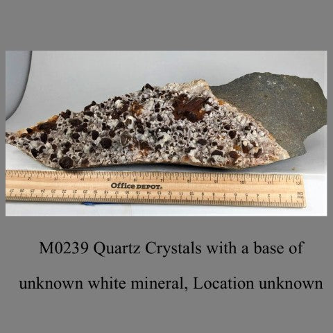 M0239 Quartz Crystals with a base of  unknown white mineral, Location unknown