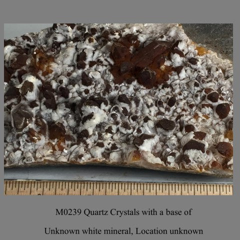 M0239 Quartz Crystals with a base of  unknown white mineral, Location unknown